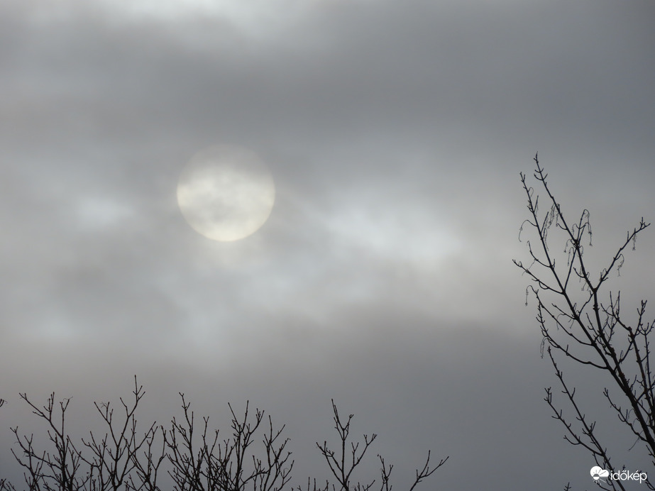 Délutáni bújócska