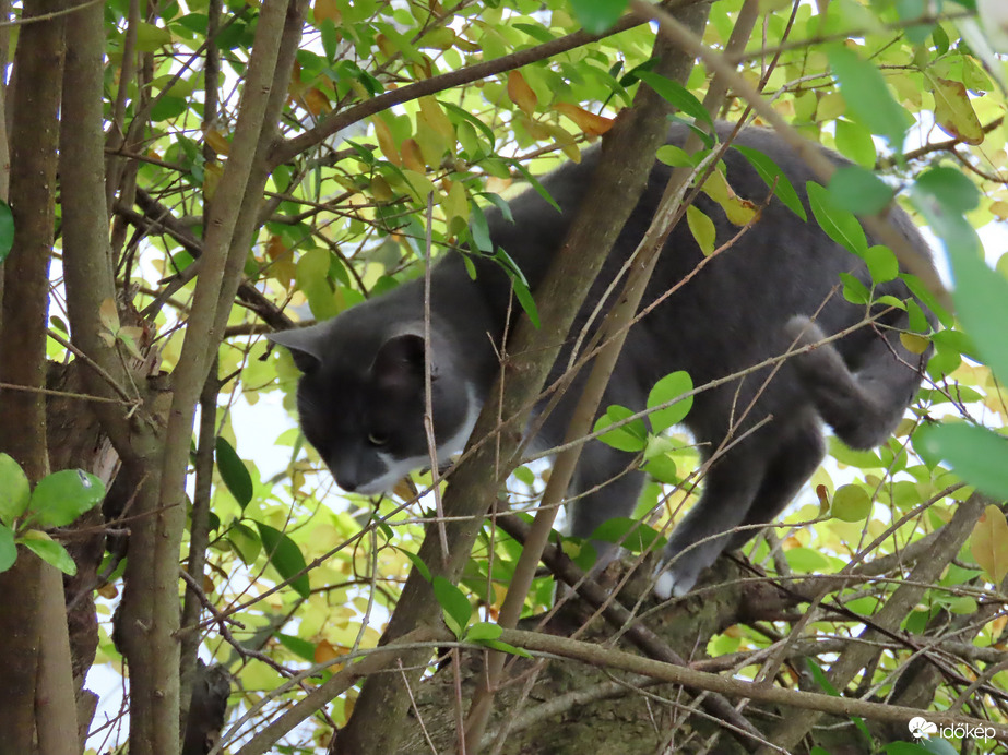 Hogy jutok le innen?