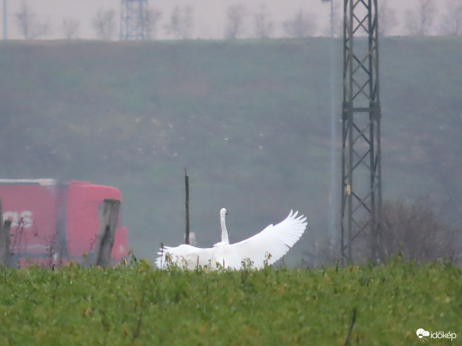 Távolabb ismét landolt