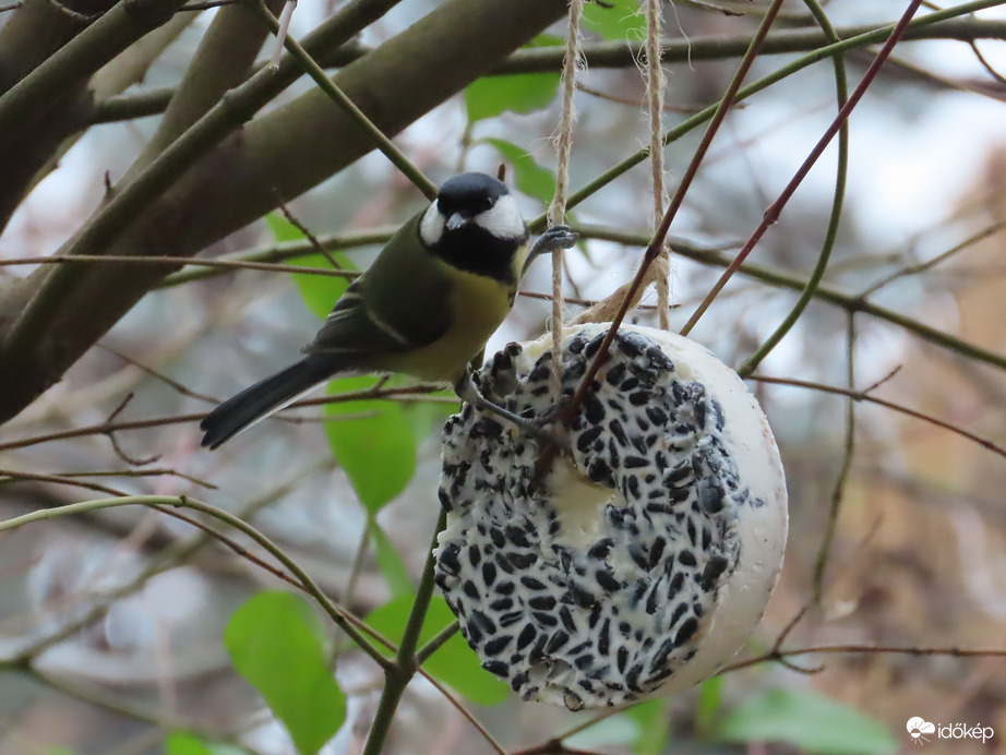 Nézzétek, mit kaptunk!