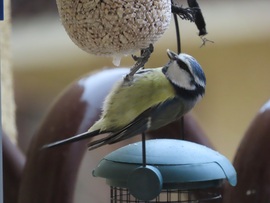 Nagy a délutáni sürgés-forgás 4.