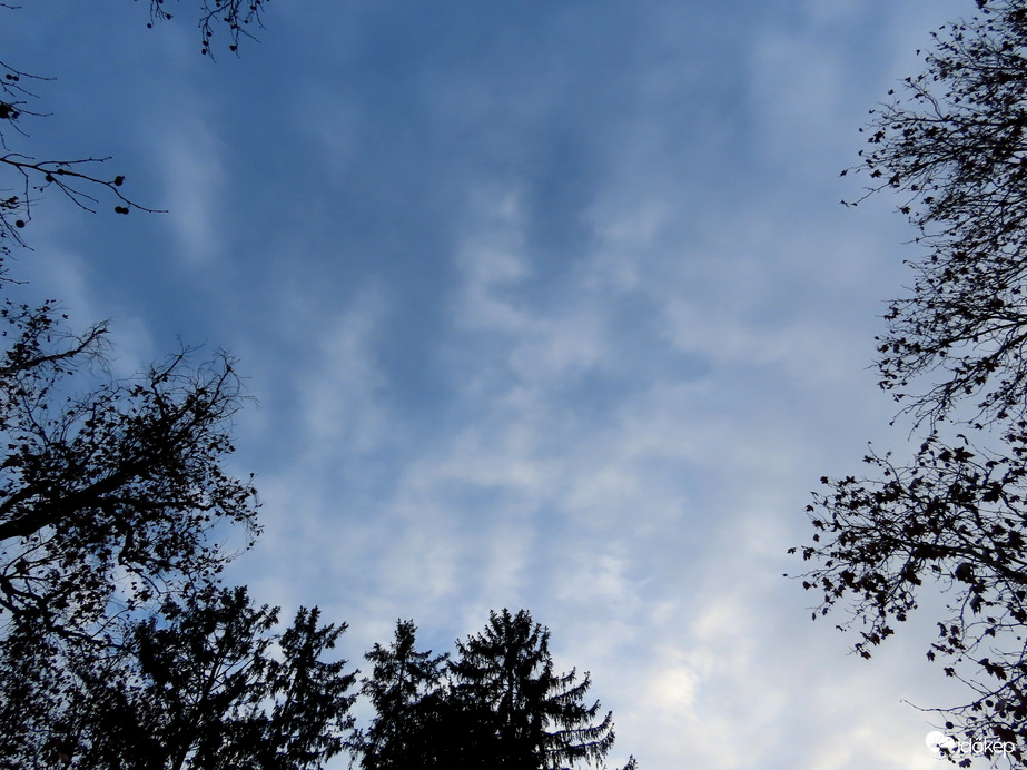 Felnéztem a magasba