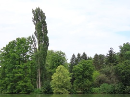 Zöld árnyalatai
