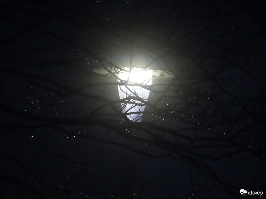 Ködcseppek lámpafénynél