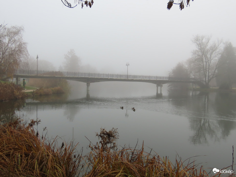 Ma a köd a főszereplő