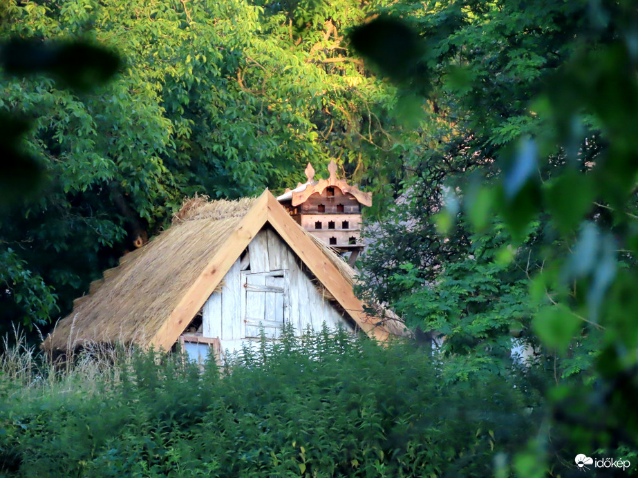 Fák között megbújva