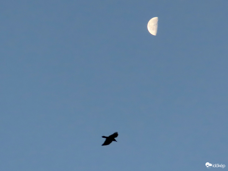 Derült reggelre ébredtünk