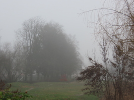 Hirtelen ereszkedett le a köd 2.