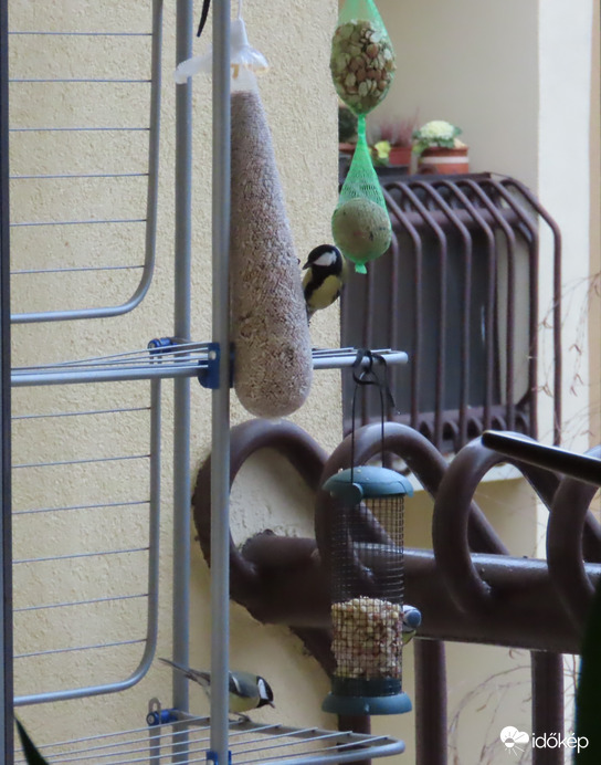 Délelőtti sürgés-forgás