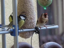 Egyetértésben falatozunk