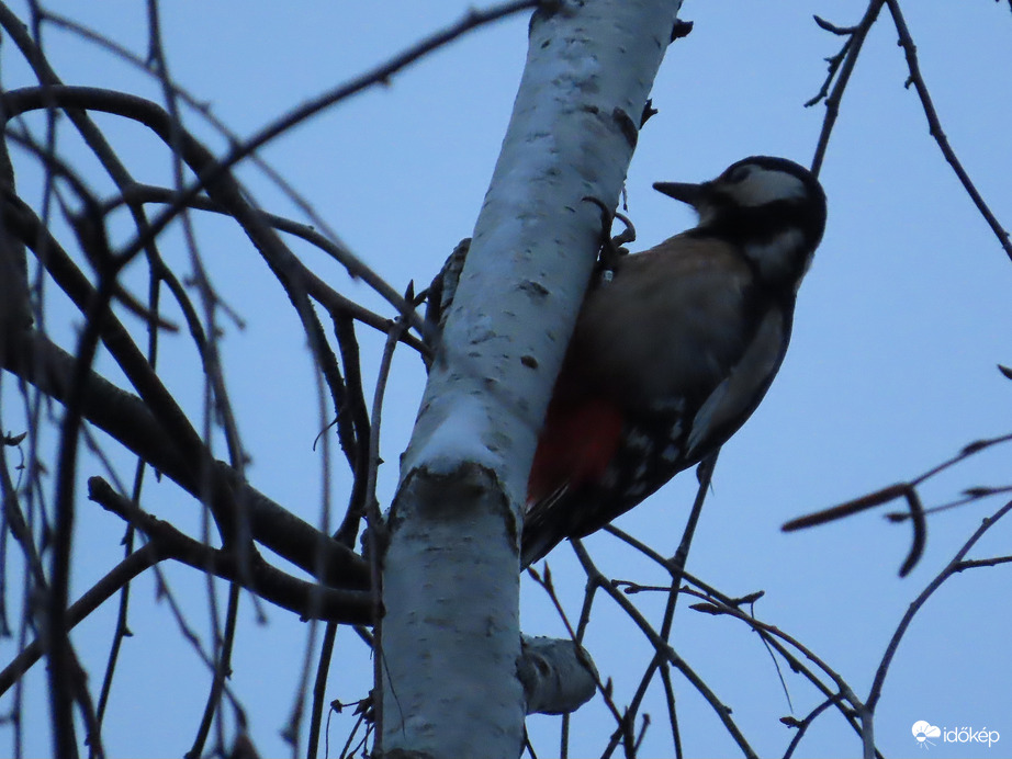 Enni karácsonykor is kell!
