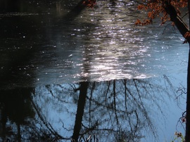 Jég és víz határa