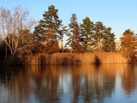Árnyékok és fények a tavon