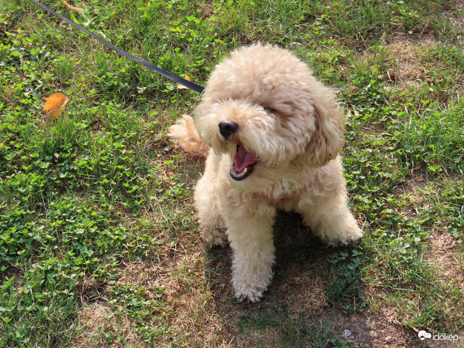 Unom már a fotózást!