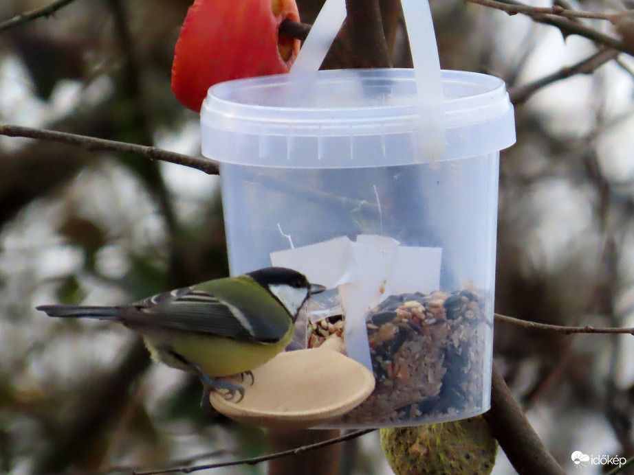 Feltölthetné már valaki!