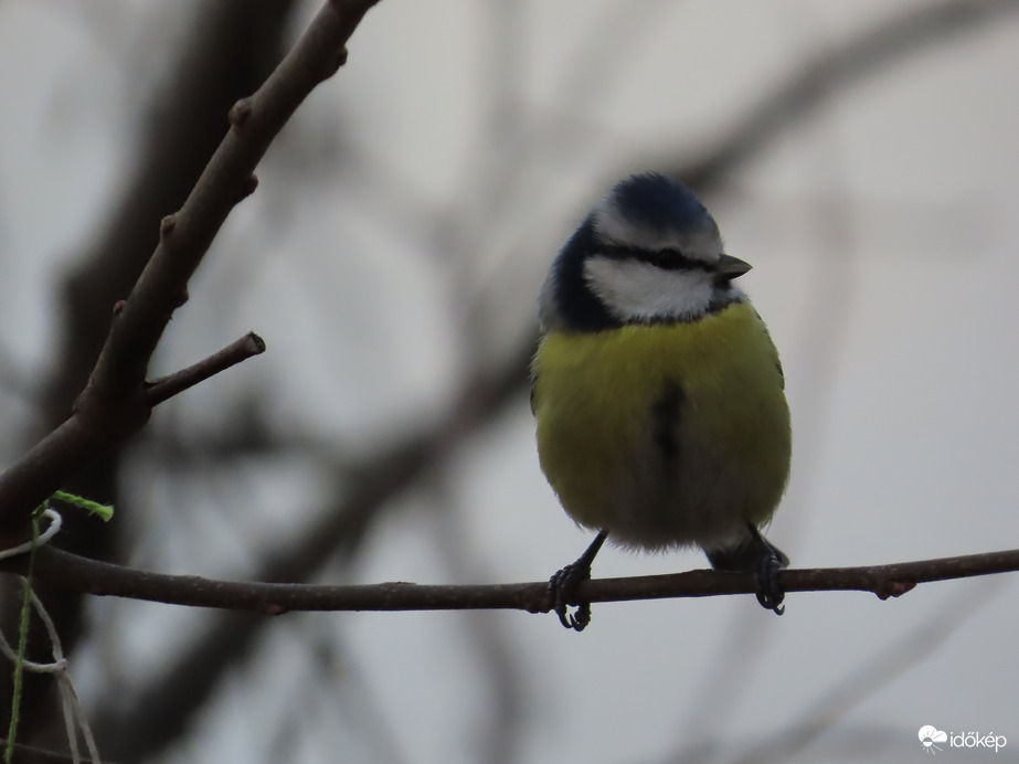 Mikor kerülök sorra?