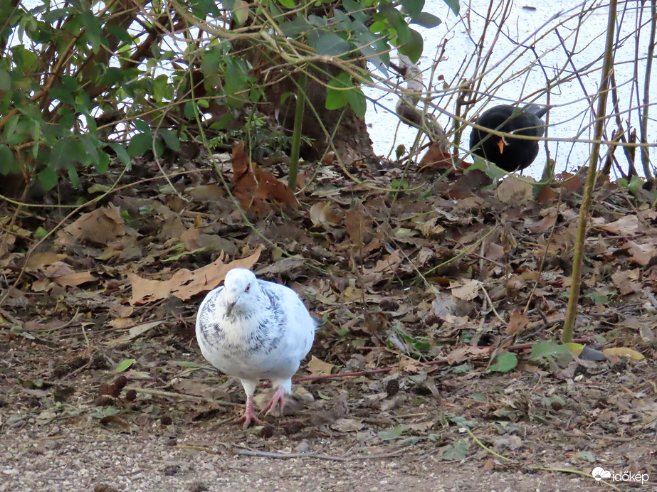 Takarítjuk a maradékot!
