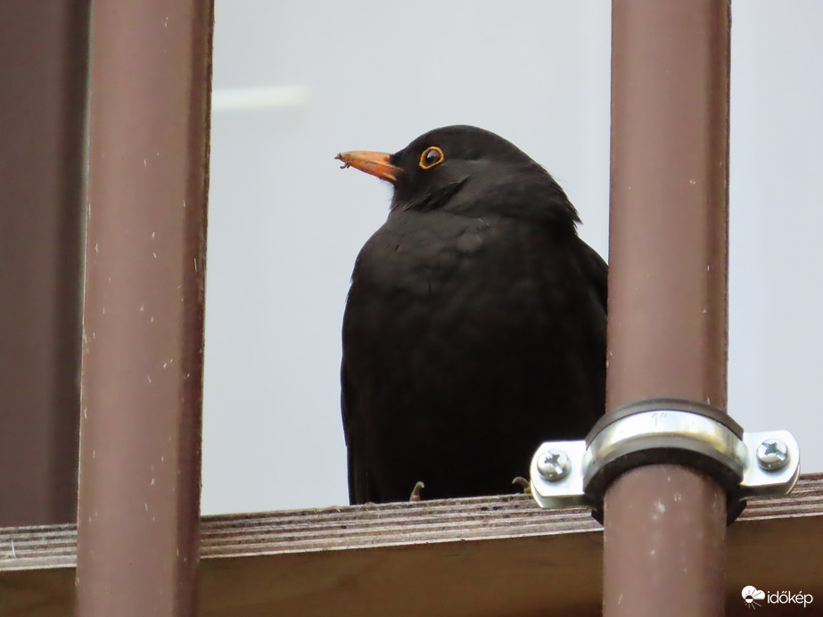 Ma is nálunk pihent