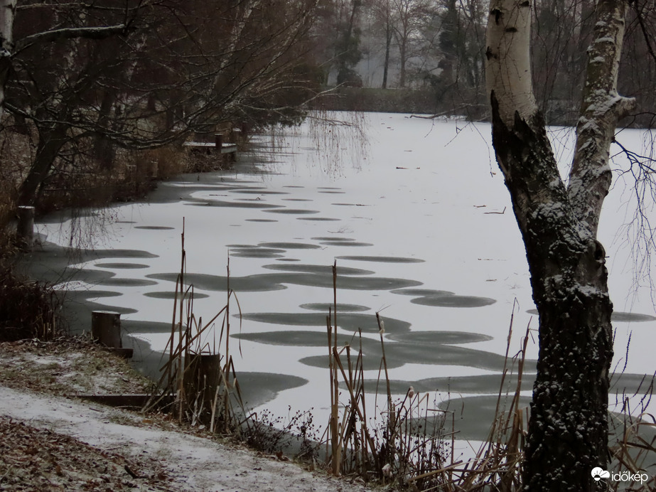 A Horgásztó partközelben