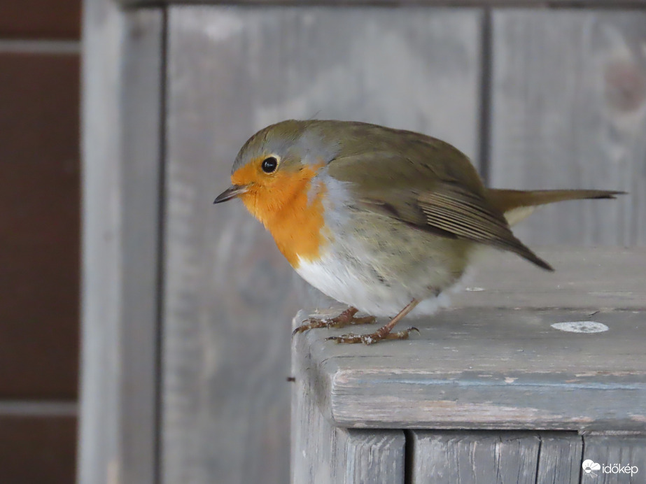 Száraz helyre húzódtam