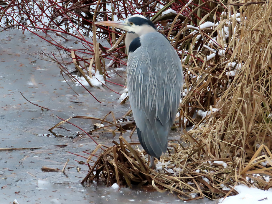 Unom a telet! Sehol egy hal!