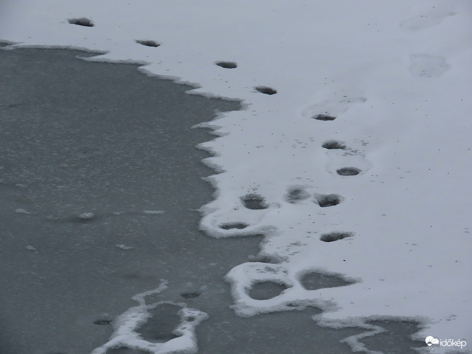 Nyomok a hóban