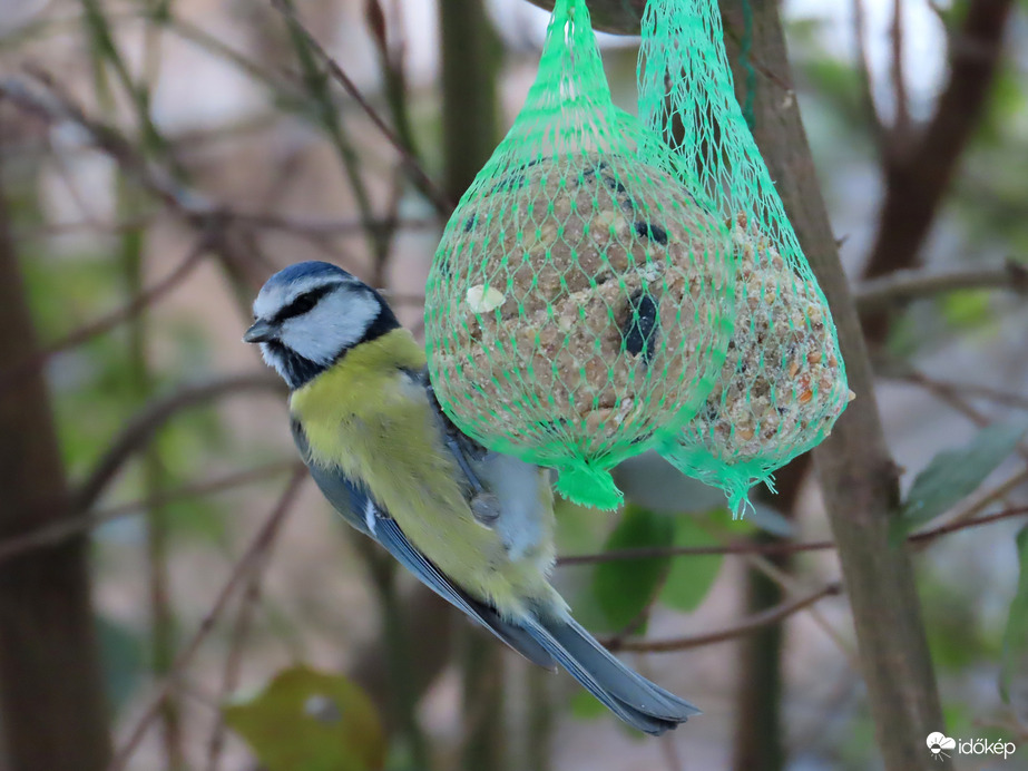 Nekem kettő is jutott!