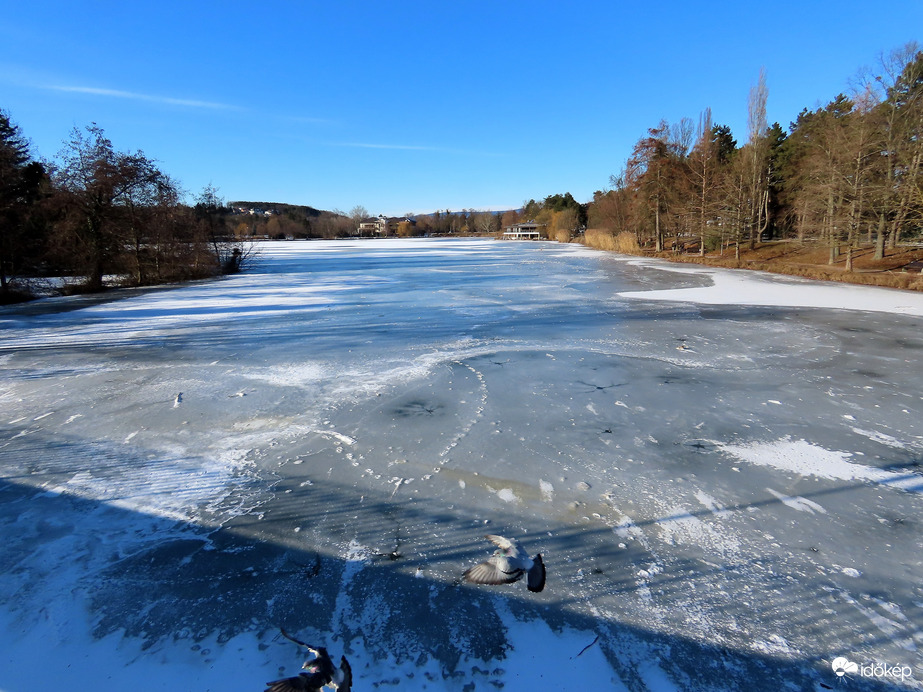 A Csónakázó-tó mai arca