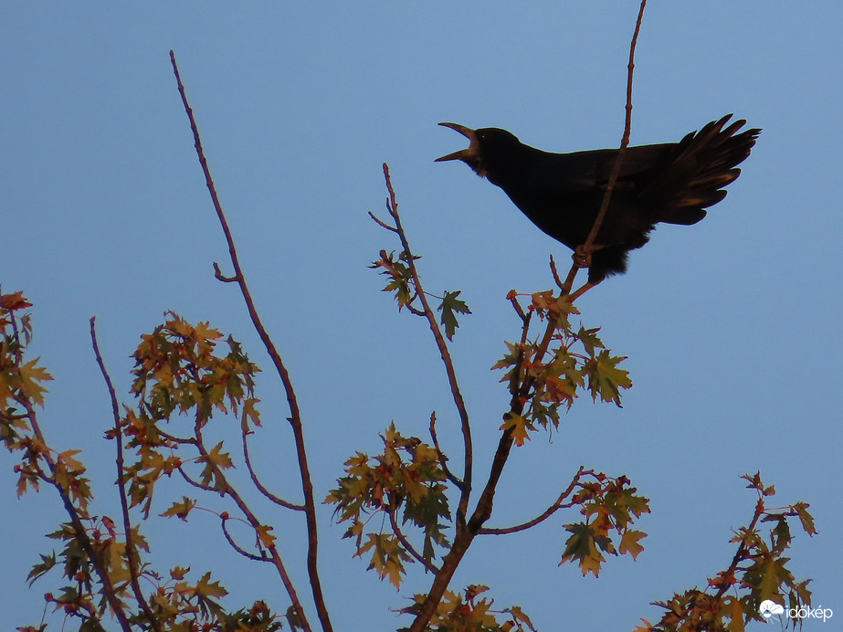 Világgá kiáltom: végre kék az ég!