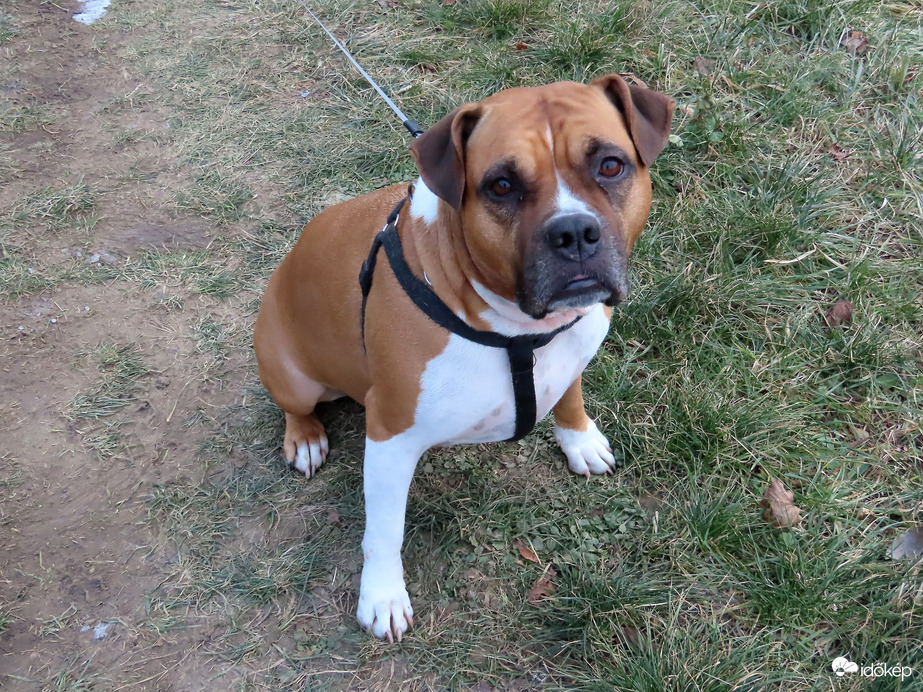 Kérlek, fotózz le!