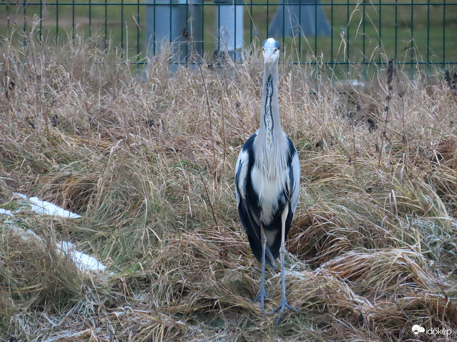Szemből is megnézhetsz!