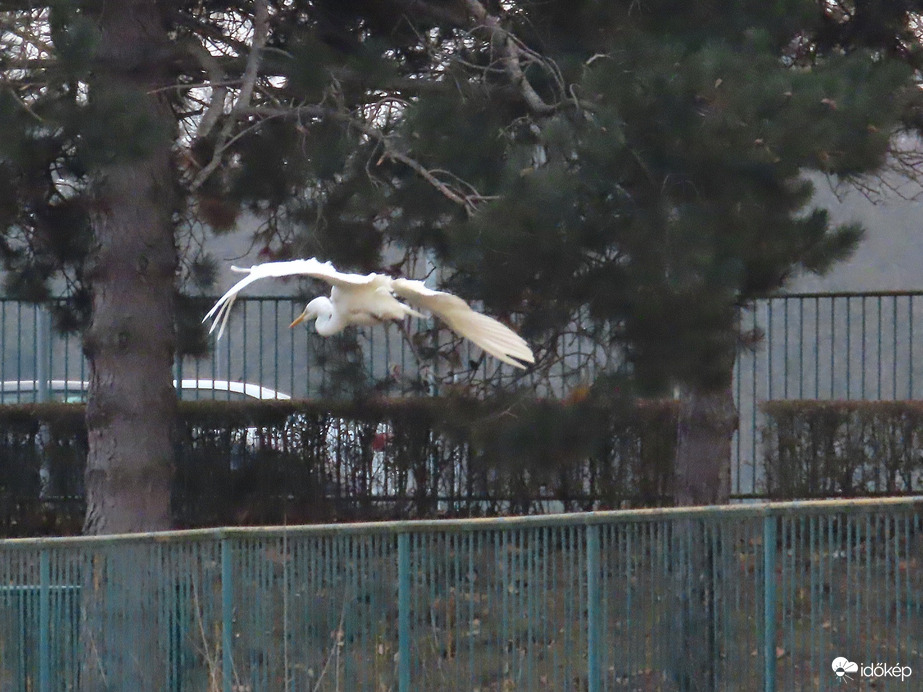 Szárnyalás a Perint felett