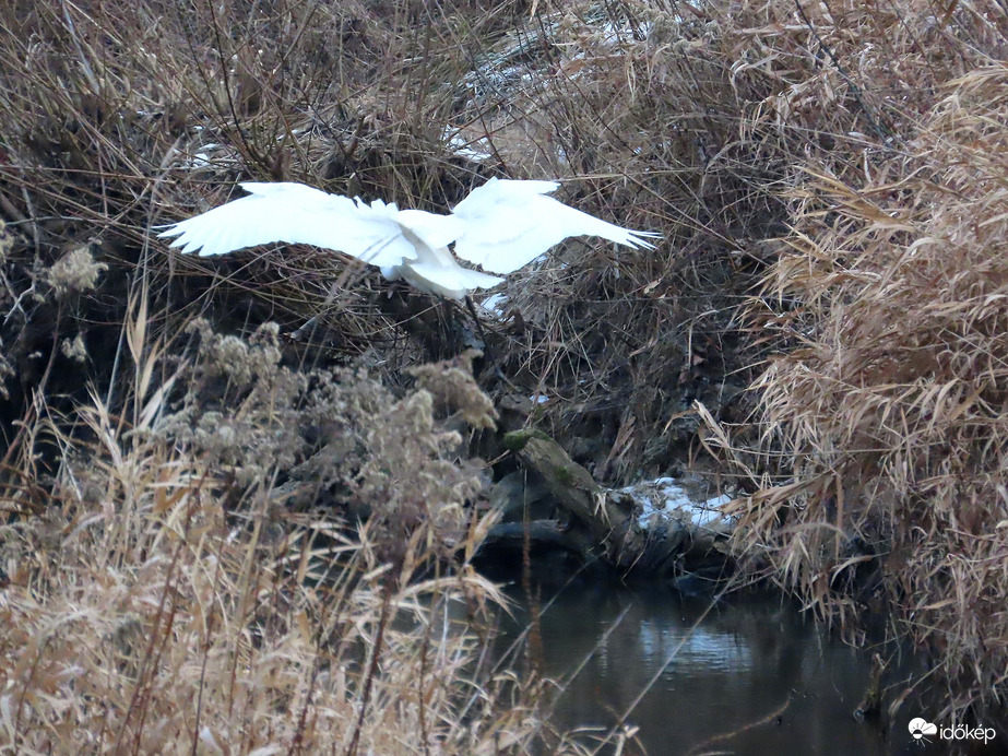 Landoláshoz felkészülni!