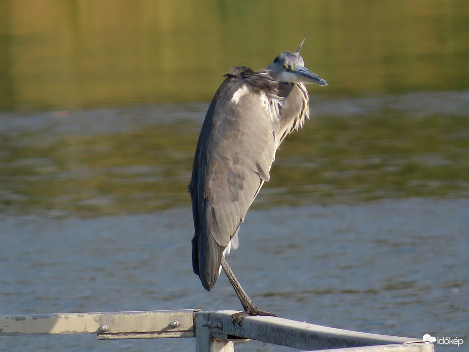 Fúj a szél, ezért magára húzta a nagykabátot!