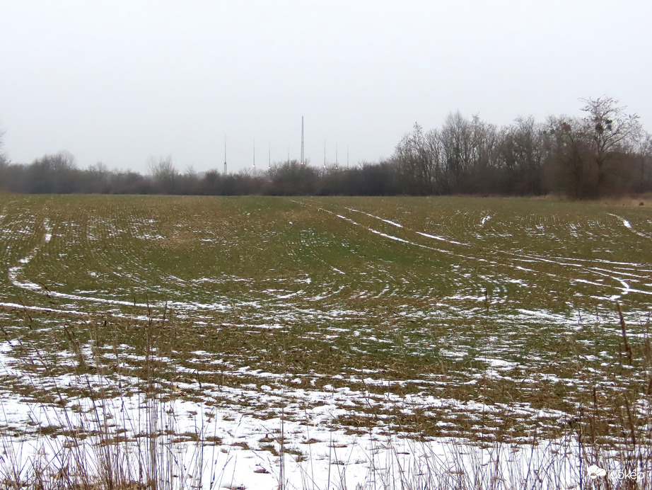 Már alig van hótakaró a vetésen