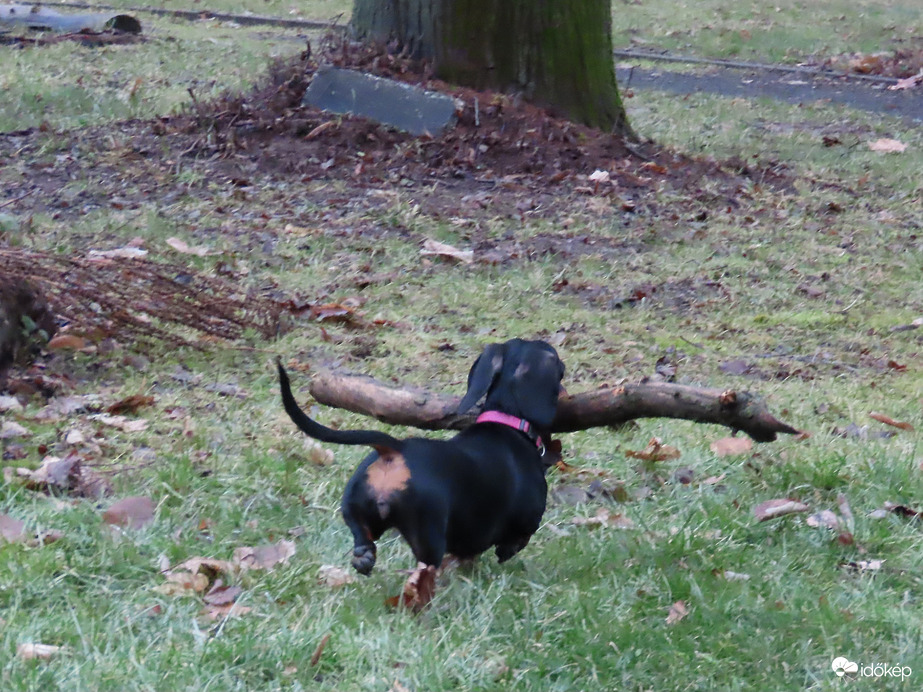 Nem adom senkinek, elfutok vele!