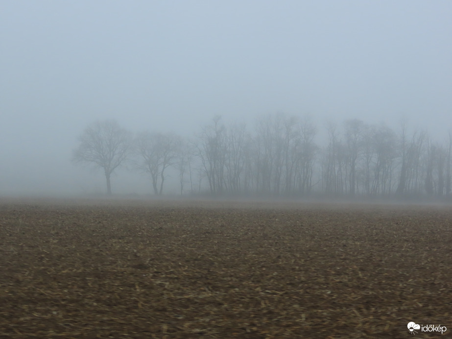 Mindenütt köd, amerre jártunk