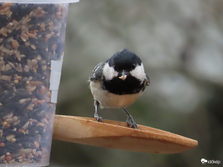 Szemből is megnézhetsz!