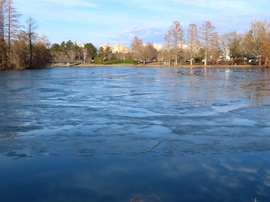 Napfényes délután a Csónakázó-tónál