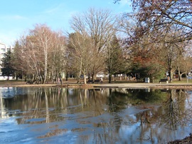 Napfényes délután a Csónakázó-tónál