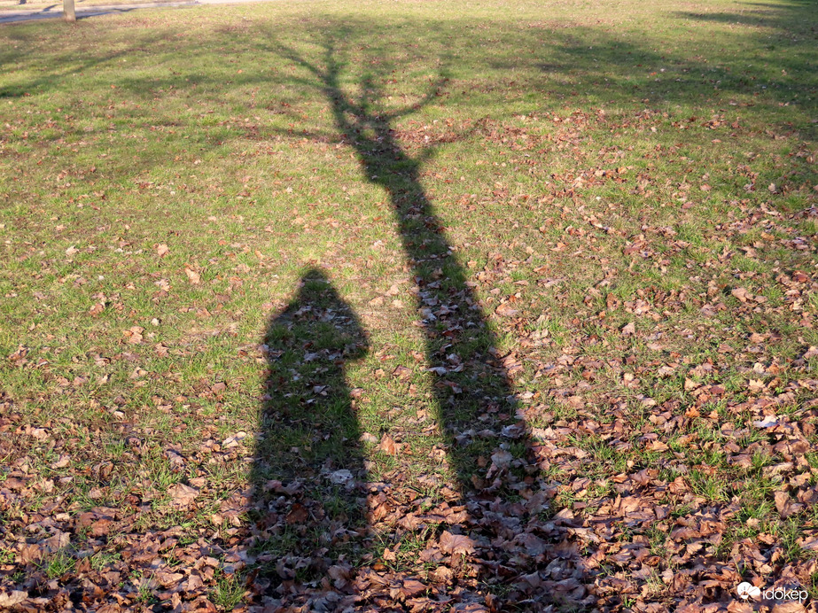 Hosszúra nyúltak az árnyékok