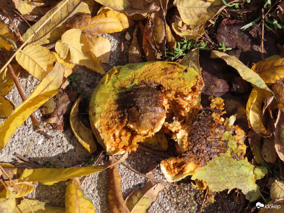 Nem sikerült feltörnöm!