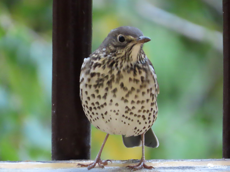 Itt még nem jártam!