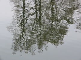 Szellő borzolta víztükör