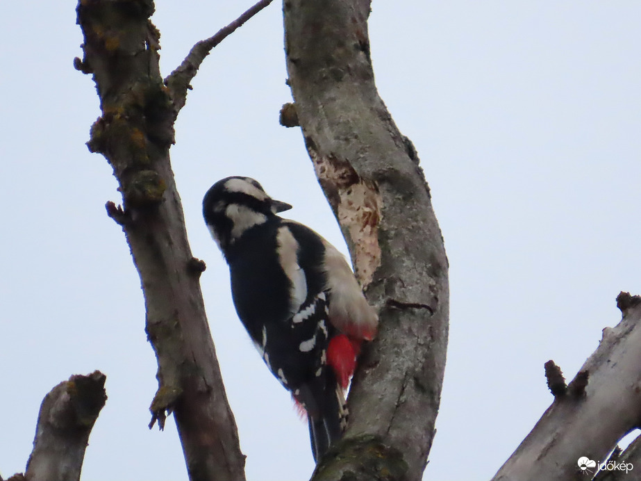 Késő délután is sok a munka!