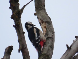 Késő délután is sok a munka!