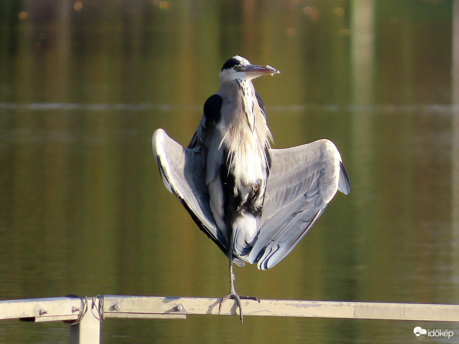 Gyűjtöm a napfényt!