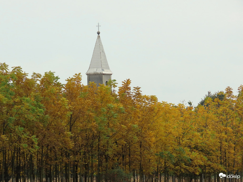 Sárguló fasor mögül kukucskáló templomtorony