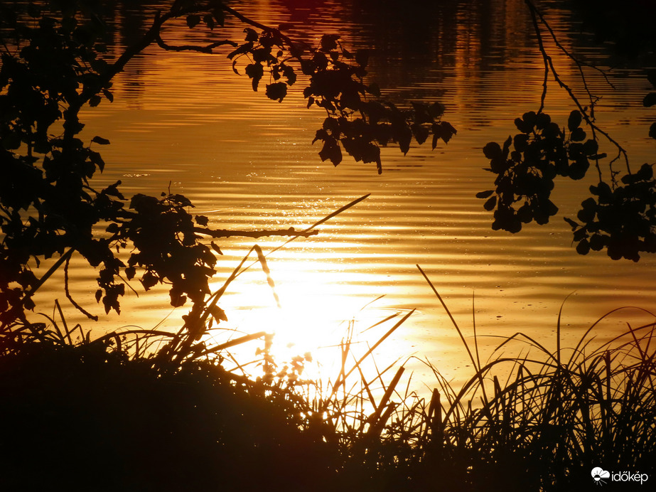Fürdik a Nap a tó vizében