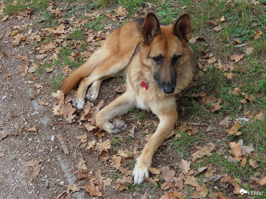 Pihenek, mert fáj a lábam!